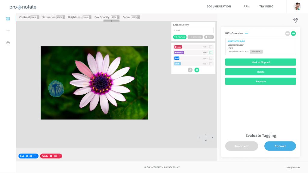 IMAGE ANNOTATION