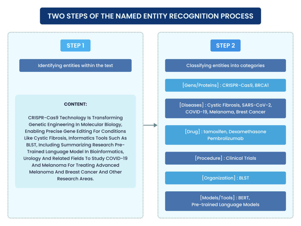 Named Entity Recognition (NER)