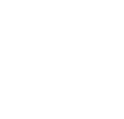 system