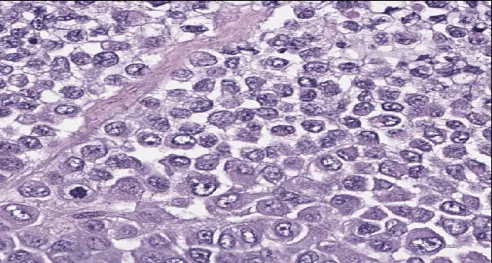 Single Cell